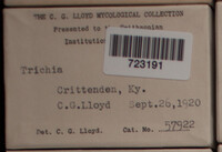 Image Associated With the Occurence